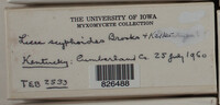 Image Associated With the Occurence